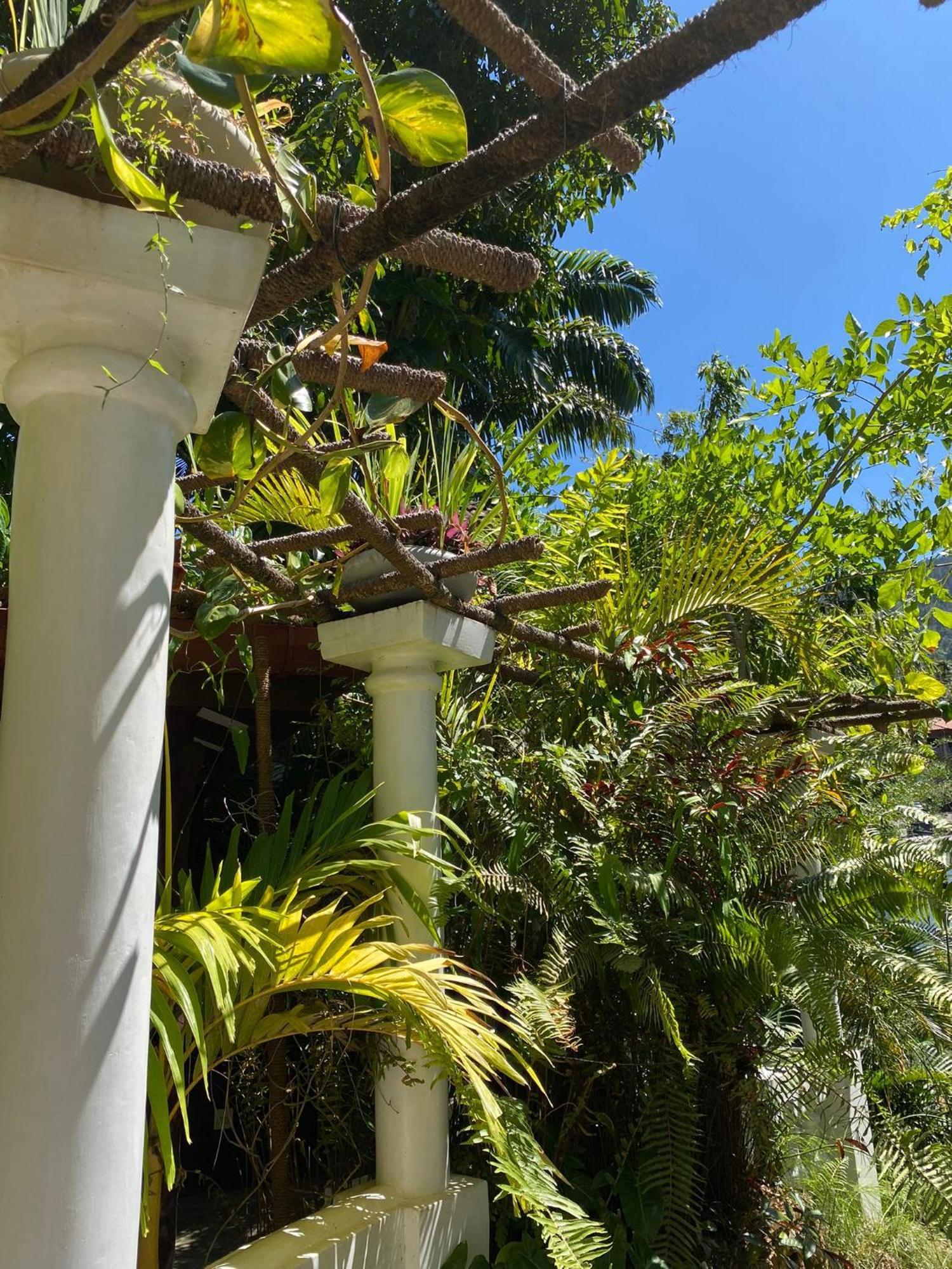 Villa Olde Ceylon Kandy Exterior foto